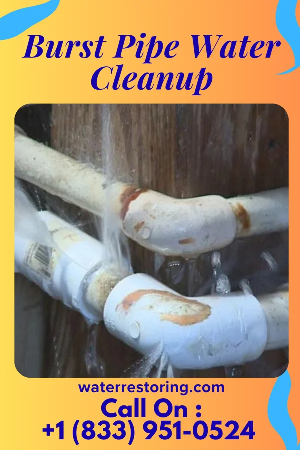 Burst Pipe Water Cleanup in Valencia, NM
