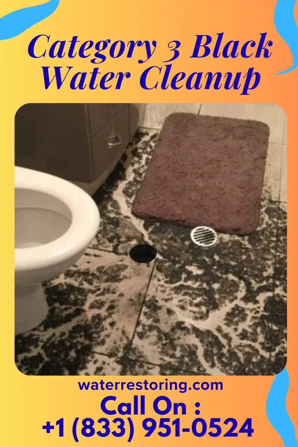 Category 3 Black Water Cleanup in Valencia, NM