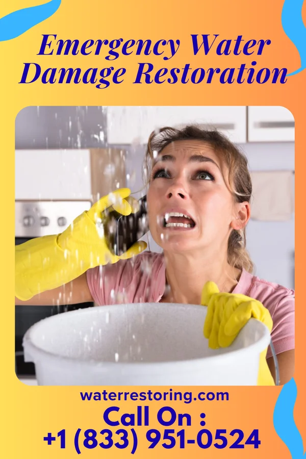 Emergency Water Damage Restoration in Valencia, NM